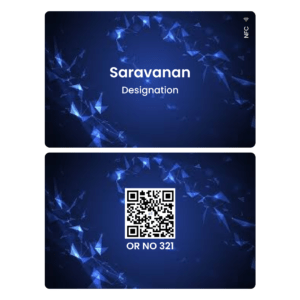 IT-Blue-Heaven professional card
