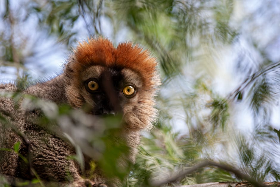 Critical Langchain Vulnerability Let attackers Exfiltrate Sensitive Secrets from AI systems: Complete Langgraph Guide